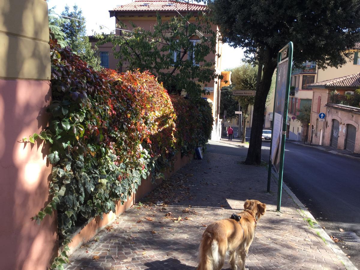 B&B La Castagnina Bologna Exterior photo